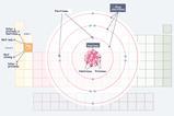 Diagram yn dangos sut mae rhif grŵp a rhif cyfnod elfen yn y tabl cyfnodol yn adlewyrchu ei adeiledd atomig o ran ei nifer o electronau a phlisg electronau
