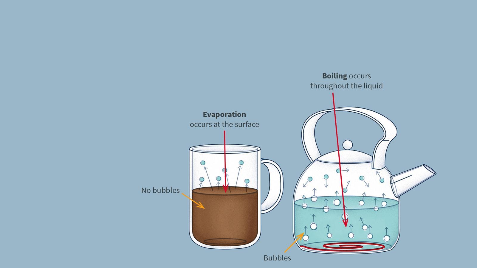 Evaporation explained Infographic RSC Education