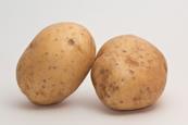 A close-up photograph of two potatoes against a neutral background