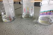 An image showing three thin layer chromatography plates; each is suspended in a measuring flask using a lolly stick and paper clip, the flasks are all on a workbench. 