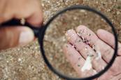 Using a magnifying glass to look at very small pieces of plastic on a beach