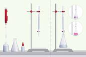 The equipment for a titration including a burette, clamp and clamp stand, a conical flask and white tile, volumetric pipette, pipette filler and dropping bottle