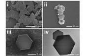 Four black and white micrograph images of crystals in the shape of hexagons