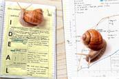 Snails crawling over science worksheets that have been completed by students