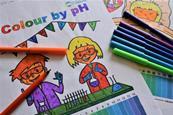 Completed colour by pH colouring sheets and felt tip pens