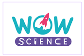 Logo for Wow Science website, with a cartoon of a rocket