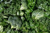 A photo of leafy green vegetables