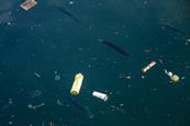 Discarded plastic and other rubbish floating on the surface of water, with fish visible below