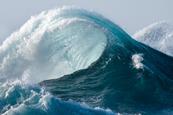 A large ocean wave rising from blue water and breaking into white spray