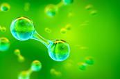Picture of a hydrogen H2 gas molecule on a green background