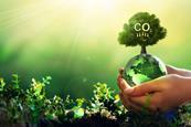 hands holding a green globe, with a tree on top with CO2 written on it