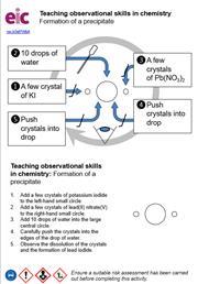 A preview of the Formation of a precipitate microscale practical sheet, with integrated instructions