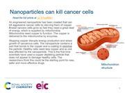 Preview image of Nanoparticles kill cancer cells starter slide