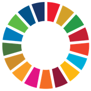 The Sustainable Development Goals logo