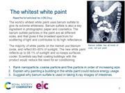 Whitest white paint starter slide preview