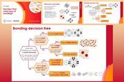 Example slides from this resource showing a bonding decision tree