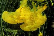 A yellow precipitate forming in a clear liquid against a black background