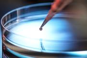Petri dish image