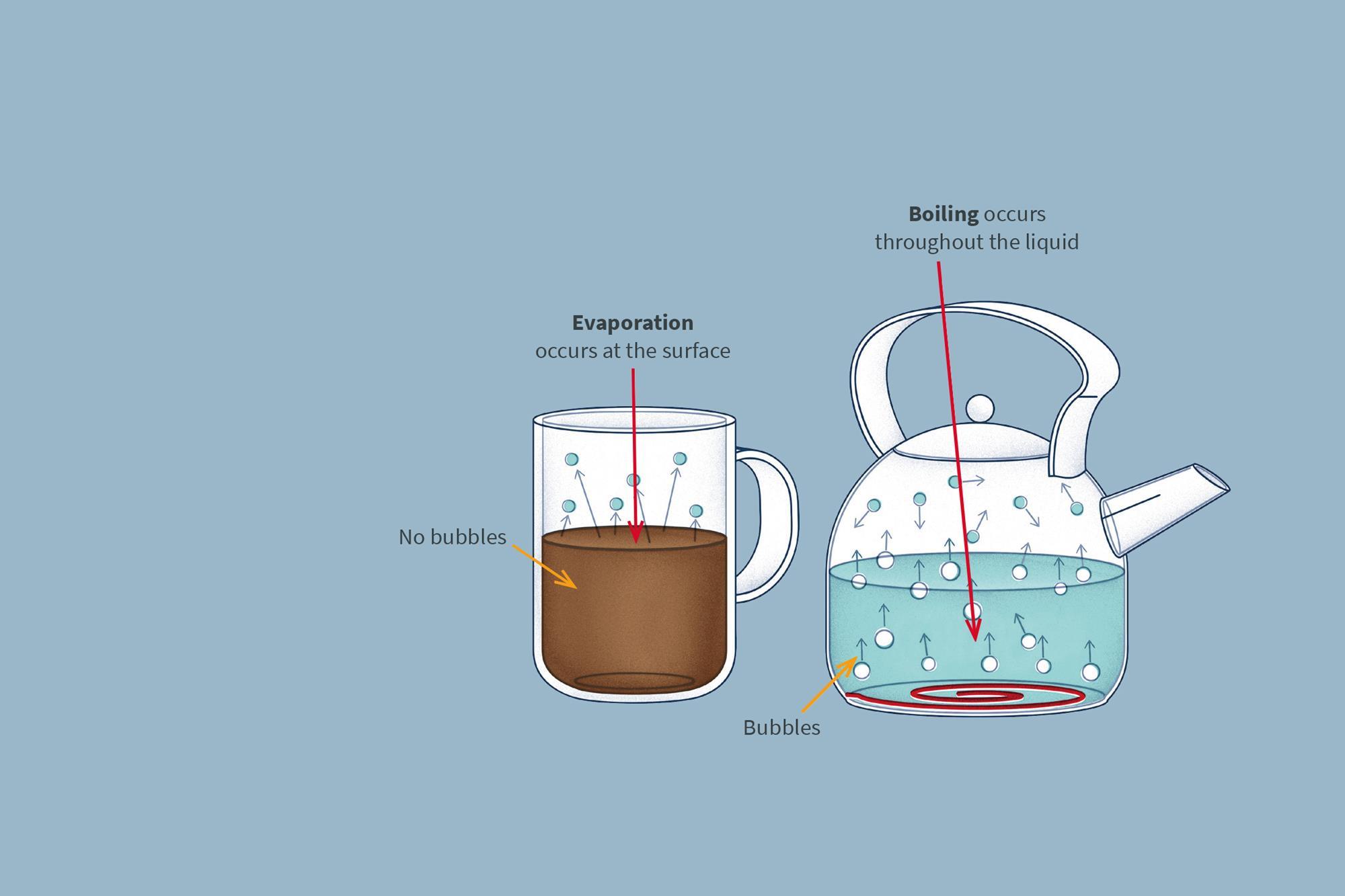 Evaporation Diagram