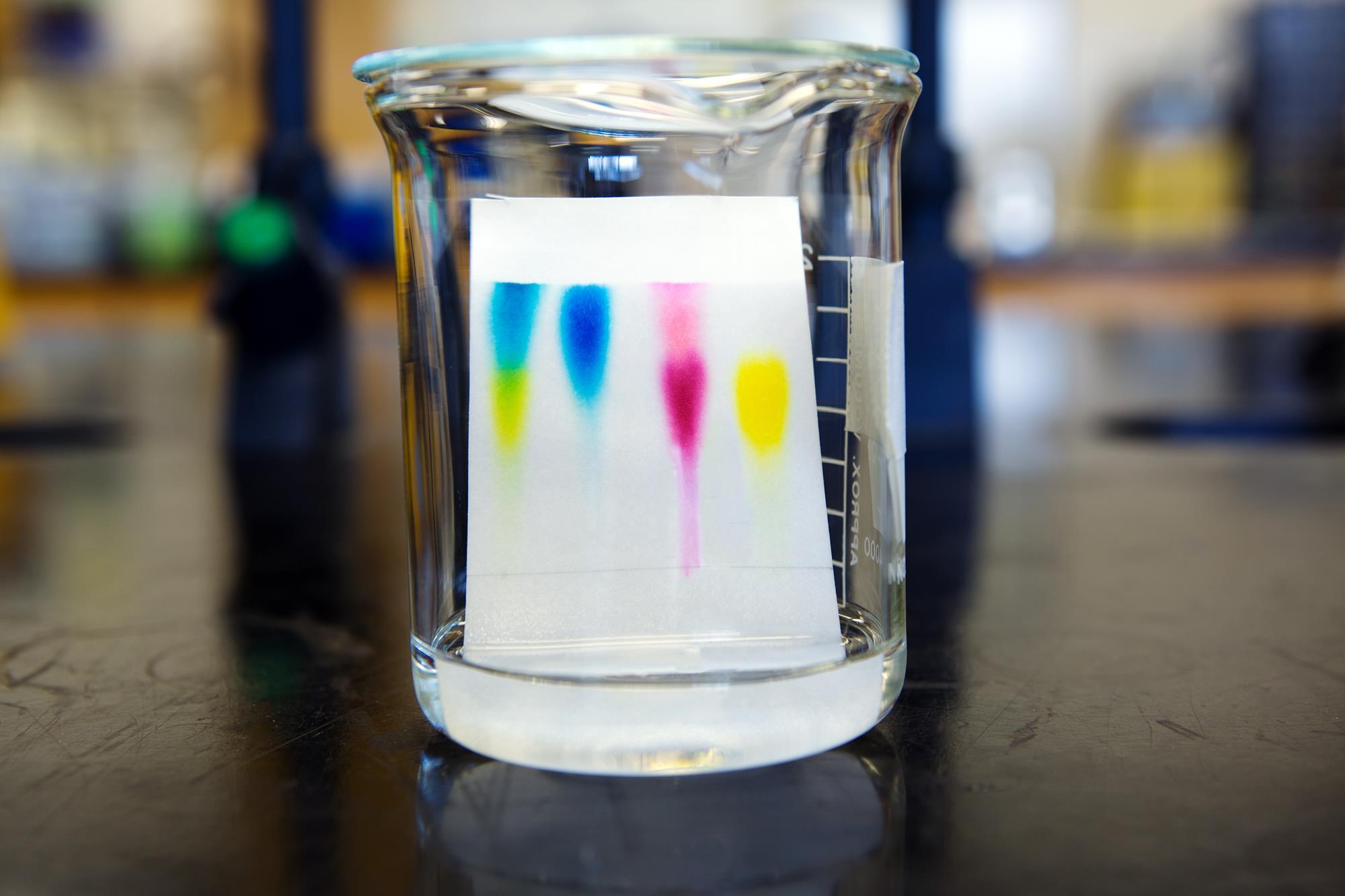 App quantifies chemicals in thinlayer chromatography News RSC