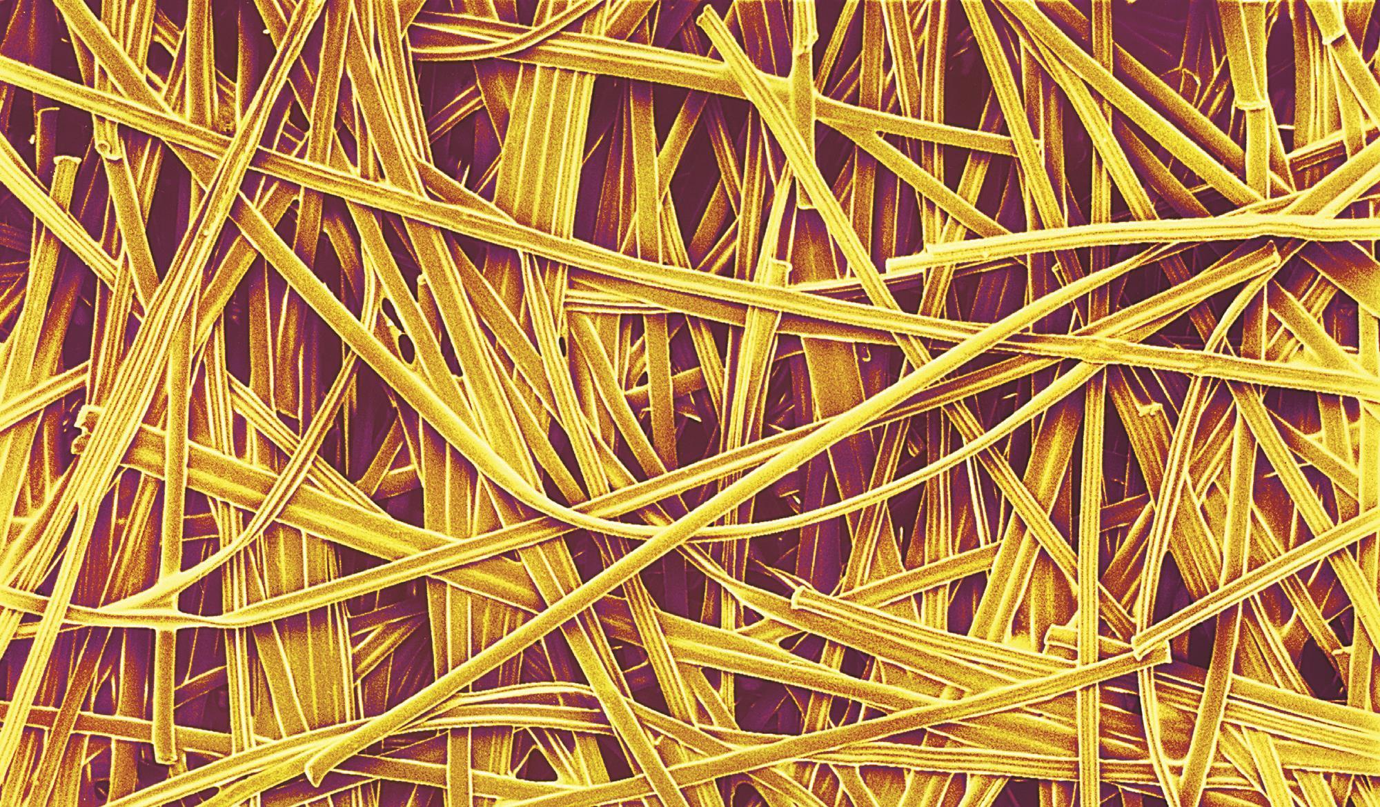 Paper conservation Feature RSC Education