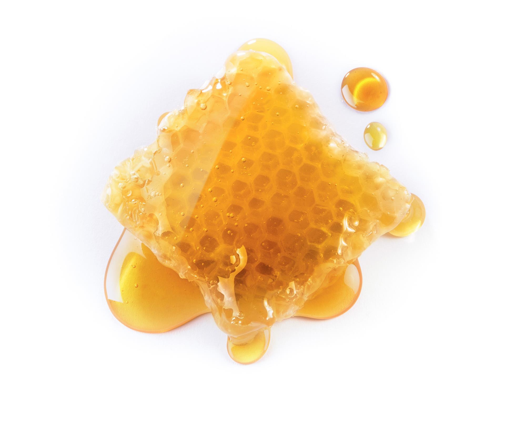 What is honey made of? The optical rotation of sugars | Resource | RSC  Education