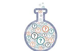 Question marks in flask