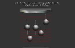 nuclear magnetic resonance