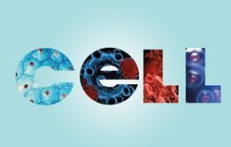 An image showing the word "Cell" filled with pictures of cells