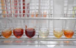 Six test tubes in a metal test tube holder, each containing a red-brown solution at different concentrations
