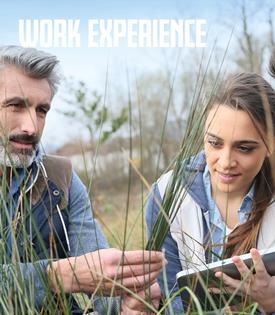 A girl on work experience with a man examining a plant in a field