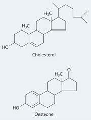 Cholesterol and Oestrone structures