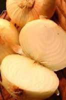 Image - Cotton - onions