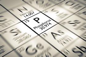 A zoom into the phosphorus element in the periodic table