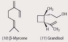 Structures of β-myrcene and grandisol