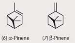 Structure of α-pinene and β-pinene