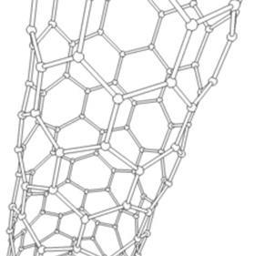 carbon nanotube