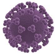 HIV virus