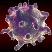 Rhinovirus (common cold)