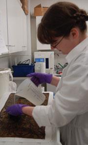 A conservator carefully cleaning a textile