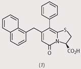 Structure 1 - a disubstituted pyridone