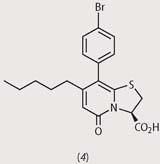 Structure 4 - a disubstituted pyridone