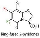 Ring-fused 2-pyridones