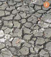 Figure 2 - Cracked ground