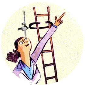 A teacher directing students to climb a ladder