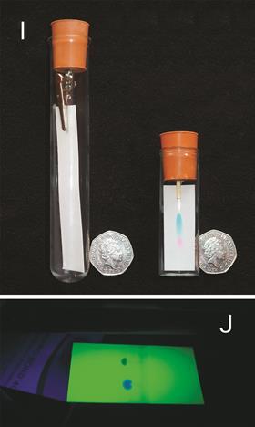 The top imge shows a paper chromatography experiement using a test tube and a glass vial with 50 pence pieces for size comparison. The bottom image shows a fluorescent chromatography experiment.