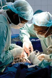 An organ transplant operation