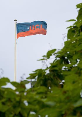 UCL flag