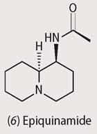 Structure of epiquinamide