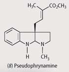 Structure of pseudophrynamine